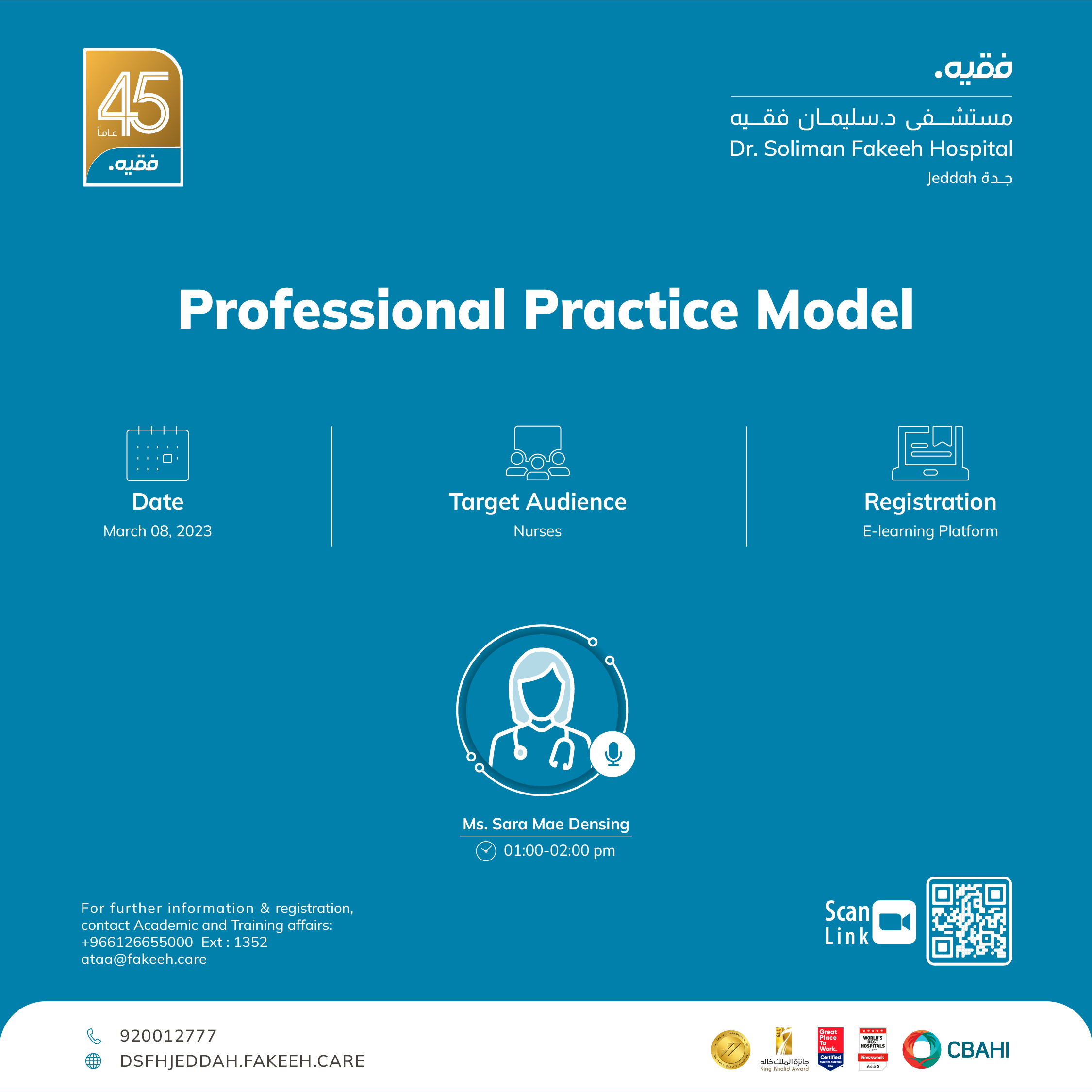 Professional Practice Model